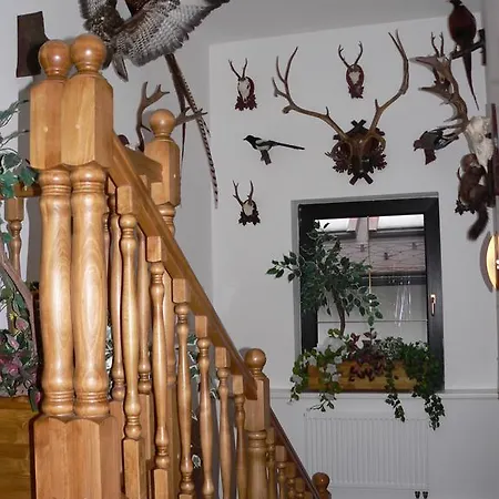 Karolina Casa de hóspedes